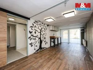 Prodej rodinného domu, Raškovice, 180 m2