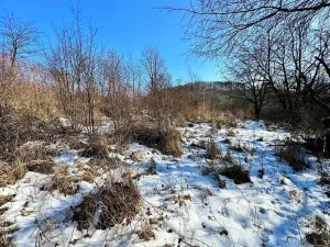 Prodej pozemku pro bydlení, Letovice, 1845 m2