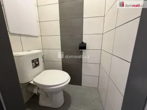 Pronájem bytu 2+1, Ostrov, Kollárova, 58 m2