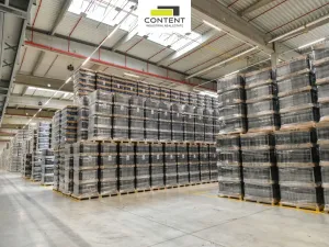 Pronájem výrobních prostor, Aš, Skandinávská, 5000 m2