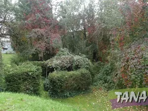 Prodej podílu pozemku pro bydlení, Mladějov, 382 m2