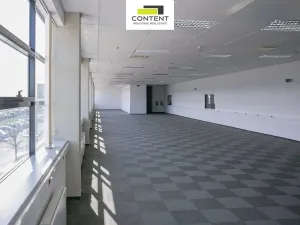 Pronájem výrobních prostor, Česká Lípa - Dobranov, 2800 m2