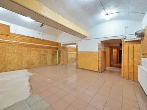 Prodej restaurace, Plzeň, Nerudova, 134 m2