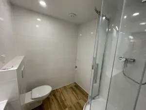 Pronájem bytu 2+1, Ústí nad Labem, Větrná, 62 m2