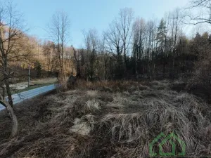 Prodej pozemku pro bydlení, Bernartice - Buková, 15640 m2