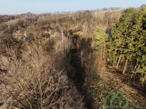 Prodej pozemku pro bydlení, Bernartice - Buková, 15640 m2