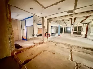 Pronájem skladu, Orlová, Masarykova třída, 200 m2