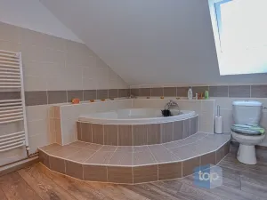 Prodej rodinného domu, Pyšely - Zaječice, Na Dolíku, 698 m2