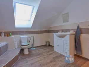 Prodej rodinného domu, Pyšely - Zaječice, Na Dolíku, 698 m2