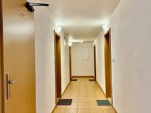 Pronájem bytu 1+kk, Plzeň, Květná, 35 m2