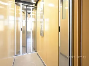 Prodej bytu 1+1, Žatec, Lípová, 40 m2