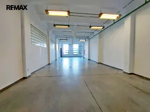 Pronájem skladu, Doudleby nad Orlicí, 115 m2