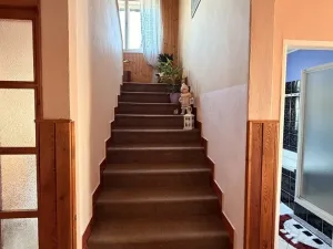 Prodej rodinného domu, Zbůch - Červený Újezd, 170 m2