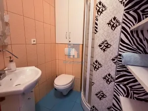 Pronájem bytu 1+kk, Plzeň, Koterovská, 28 m2