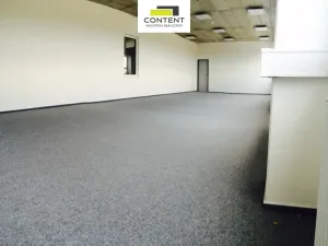 Pronájem výrobních prostor, Velká Bíteš - Košíkov, 5000 m2