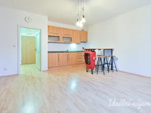 Pronájem bytu 1+kk, Brno - Staré Brno, Trýbova, 34 m2