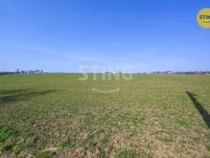 Prodej pozemku pro bydlení, Mistřice - Javorovec, 1215 m2