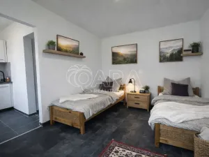 Prodej bytu 1+kk, Město Albrechtice - Hynčice, 22 m2