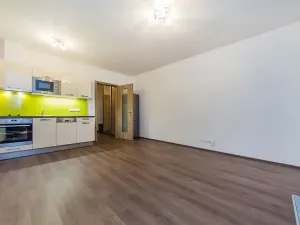 Pronájem bytu 1+kk, Praha - Horní Měcholupy, Mantovská, 36 m2