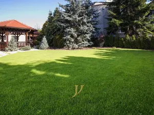 Pronájem bytu 2+kk, Olomouc, Blanická, 54 m2