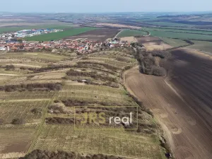 Prodej pozemku, Brumovice, 4065 m2