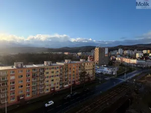 Prodej bytu 3+1, Litvínov - Horní Litvínov, Mostecká, 62 m2