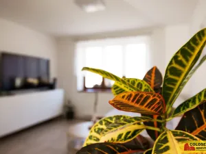 Prodej rodinného domu, Lovčičky, 239 m2