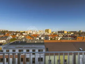 Prodej bytu 1+kk, Praha - Žižkov, Na Vackově, 38 m2