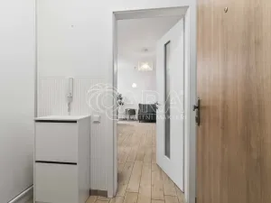 Prodej bytu 1+kk, Praha - Žižkov, Na Vackově, 38 m2