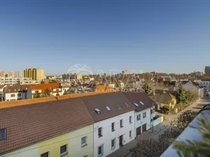 Prodej bytu 1+kk, Praha - Žižkov, Na Vackově, 38 m2