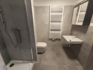 Pronájem bytu 1+kk, Brno, Střední, 33 m2