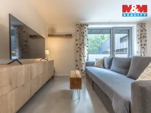 Prodej bytu 1+kk, Janov nad Nisou, 29 m2