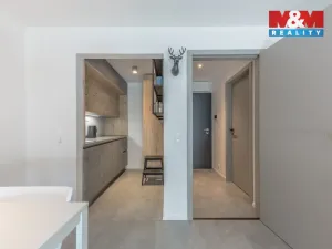 Prodej bytu 1+kk, Janov nad Nisou, 29 m2