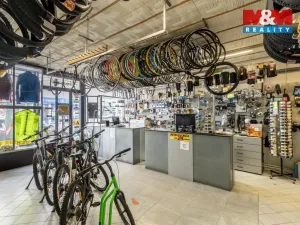 Prodej činžovního domu, Frýdek-Místek - Frýdek, Radniční, 300 m2