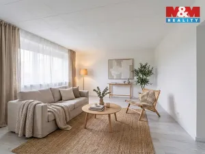 Prodej bytu 2+1, Bor - Vysočany, 63 m2