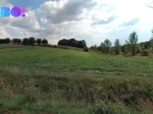 Prodej pole, Veletiny, 5908 m2