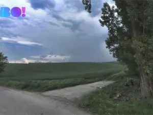 Prodej pole, Veletiny, 5908 m2