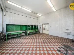 Pronájem komerční nemovitosti, Ostrava, Paskovská, 556 m2