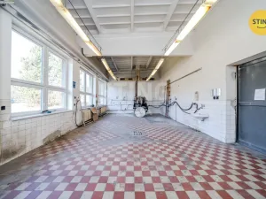 Pronájem komerční nemovitosti, Ostrava, Paskovská, 556 m2