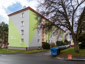 Prodej bytu 3+1, Tachov, 63 m2