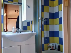 Prodej chalupy, Svojšín, 246 m2