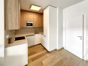 Pronájem bytu 2+kk, Praha, 59 m2