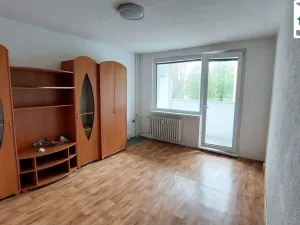 Pronájem bytu 3+1, Cheb, Lesní, 65 m2