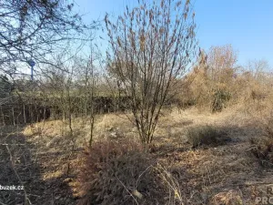 Prodej pozemku pro bydlení, Uničov, 616 m2