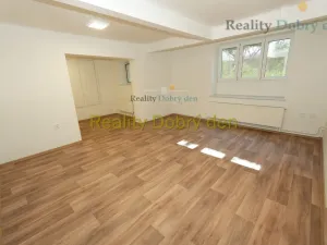 Pronájem bytu 1+1, Opava, Bochenkova, 55 m2