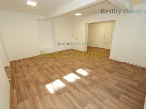 Pronájem bytu 1+1, Opava, Bochenkova, 55 m2