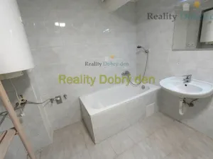 Pronájem bytu 1+1, Opava, Bochenkova, 55 m2