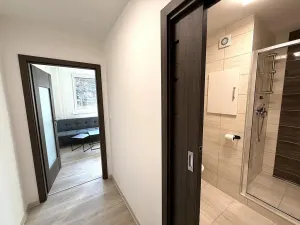 Pronájem bytu 1+1, Brno - Kohoutovice, Prokofjevova, 36 m2