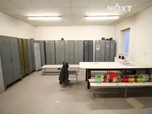 Pronájem výrobních prostor, Kralovice, 700 m2