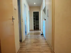 Pronájem bytu 3+1, Český Těšín, Zelená, 64 m2